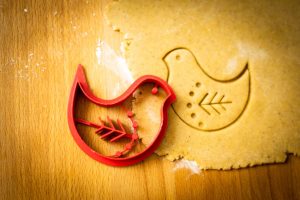 Vykrajovačka - Folk vtáča 2