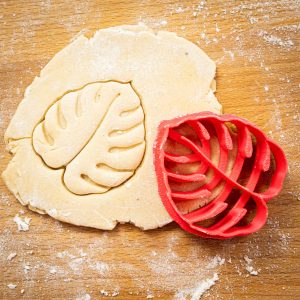 Vykrajovačka - Monstera