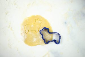 Vykrajovačka - Corgi