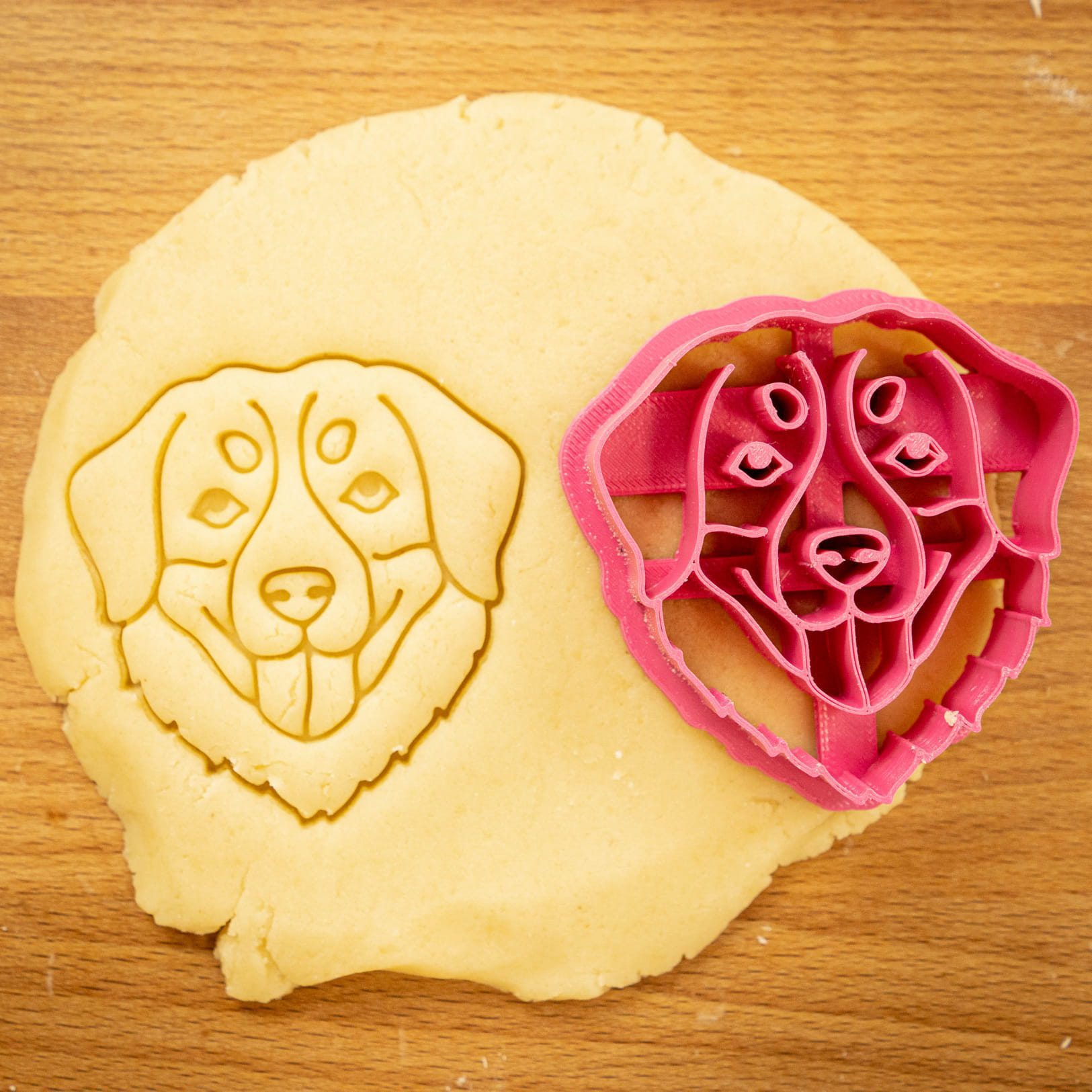 Vykrajovačka - Bernský salašnícky pes