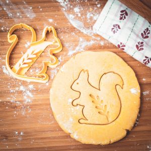 Vykrajovačka - Folk Veverička